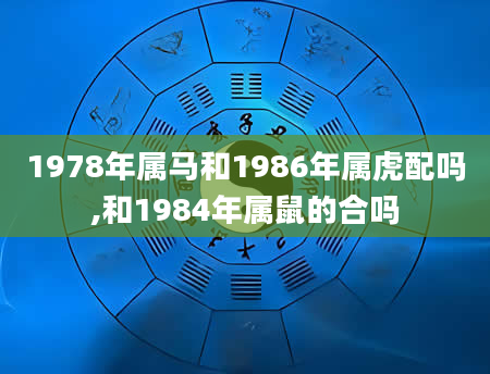 1978年属马和1986年属虎配吗,和1984年属鼠的合吗