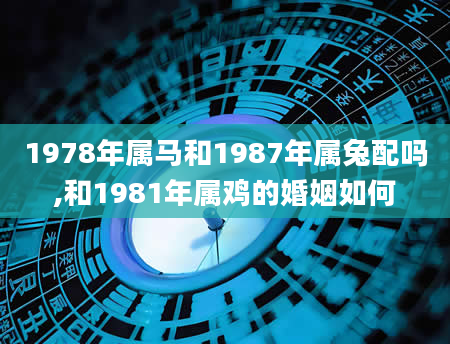 1978年属马和1987年属兔配吗,和1981年属鸡的婚姻如何