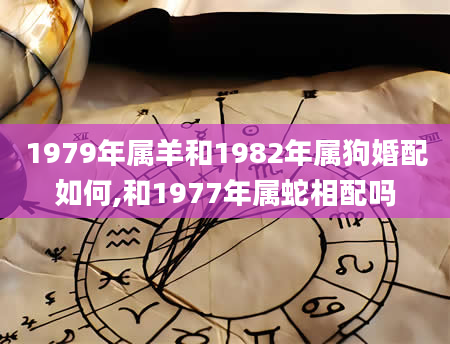 1979年属羊和1982年属狗婚配如何,和1977年属蛇相配吗