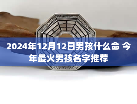 2024年12月12日男孩什么命 今年最火男孩名字推荐