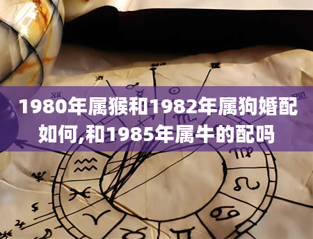 1980年属猴和1982年属狗婚配如何,和1985年属牛的配吗