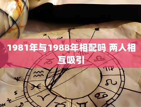 1981年与1988年相配吗 两人相互吸引