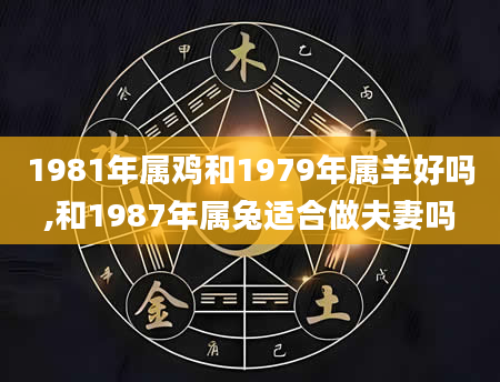 1981年属鸡和1979年属羊好吗,和1987年属兔适合做夫妻吗