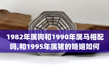 1982年属狗和1990年属马相配吗,和1995年属猪的婚姻如何