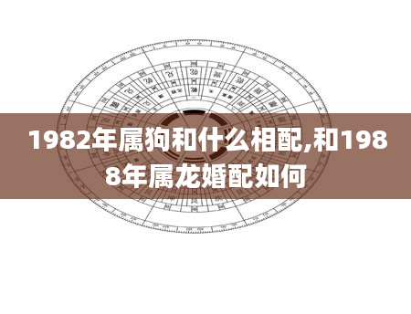 1982年属狗和什么相配,和1988年属龙婚配如何