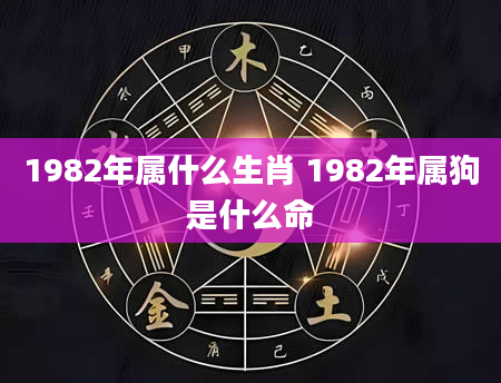 1982年属什么生肖 1982年属狗是什么命