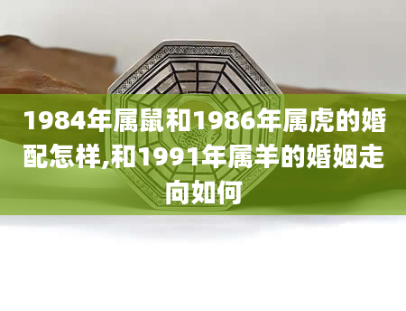 1984年属鼠和1986年属虎的婚配怎样,和1991年属羊的婚姻走向如何