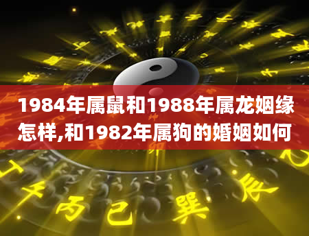 1984年属鼠和1988年属龙姻缘怎样,和1982年属狗的婚姻如何