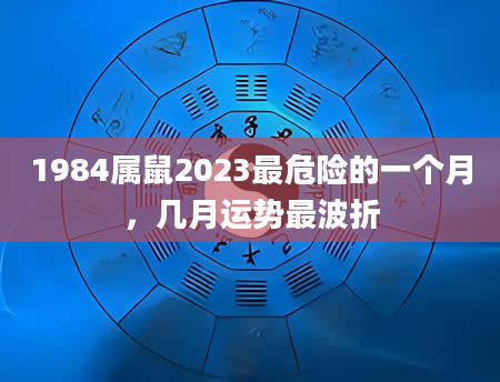 1984属鼠2023最危险的一个月，几月运势最波折