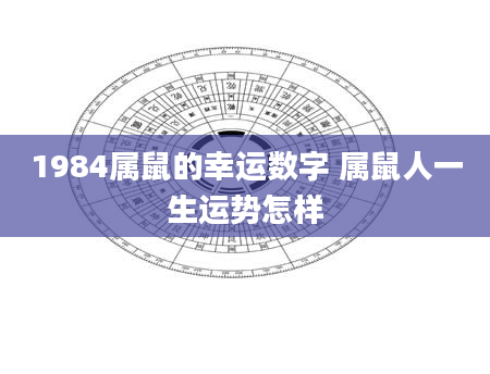 1984属鼠的幸运数字 属鼠人一生运势怎样