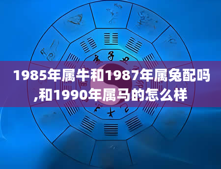 1985年属牛和1987年属兔配吗,和1990年属马的怎么样