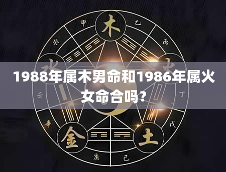 1988年属木男命和1986年属火女命合吗？