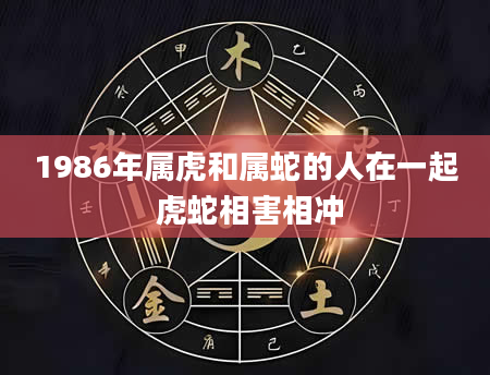 1986年属虎和属蛇的人在一起 虎蛇相害相冲