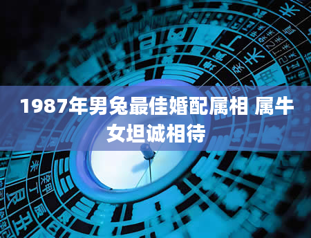 1987年男兔最佳婚配属相 属牛女坦诚相待