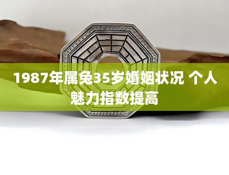 1987年属兔35岁婚姻状况 个人魅力指数提高