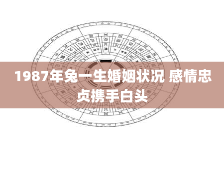 1987年兔一生婚姻状况 感情忠贞携手白头