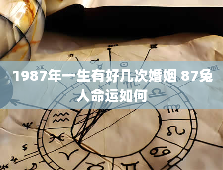 1987年一生有好几次婚姻 87兔人命运如何