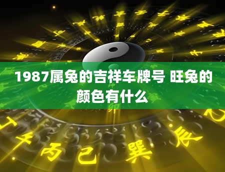 1987属兔的吉祥车牌号 旺兔的颜色有什么