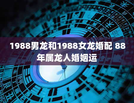 1988男龙和1988女龙婚配 88年属龙人婚姻运