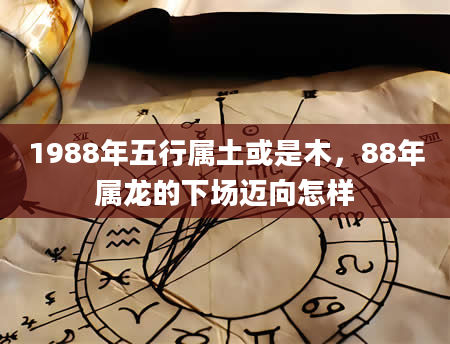 1988年五行属土或是木，88年属龙的下场迈向怎样