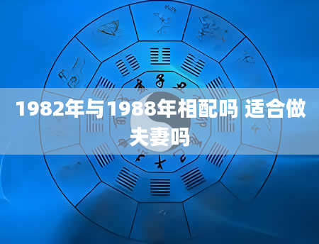 1982年与1988年相配吗 适合做夫妻吗