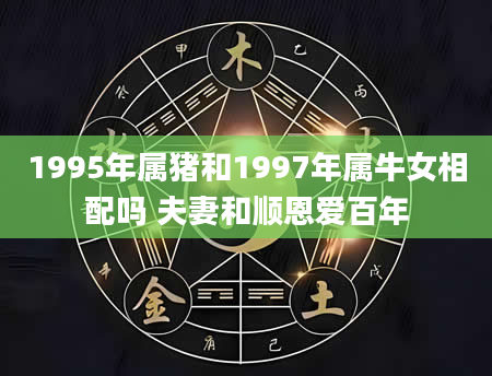 1995年属猪和1997年属牛女相配吗 夫妻和顺恩爱百年