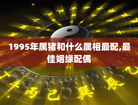 1995年属猪和什么属相最配,最佳姻缘配偶