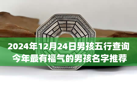 2024年12月24日男孩五行查询 今年最有福气的男孩名字推荐