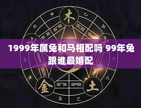 1999年属兔和马相配吗 99年兔跟谁最婚配