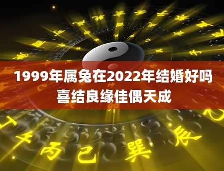 1999年属兔在2022年结婚好吗 喜结良缘佳偶天成