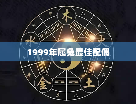 1999年属兔最佳配偶