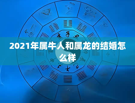 2021年属牛人和属龙的结婚怎么样