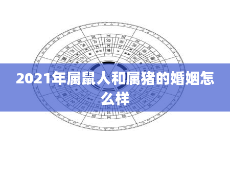 2021年属鼠人和属猪的婚姻怎么样