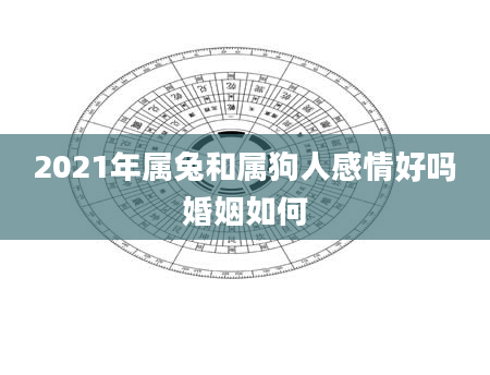 2021年属兔和属狗人感情好吗婚姻如何