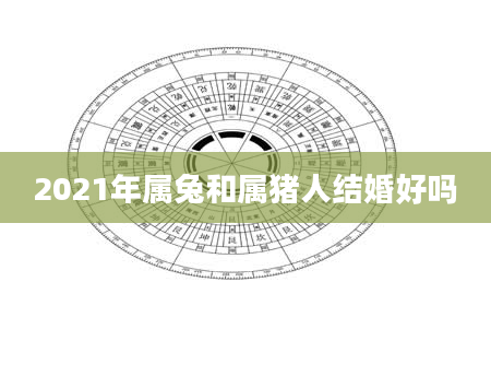 2021年属兔和属猪人结婚好吗