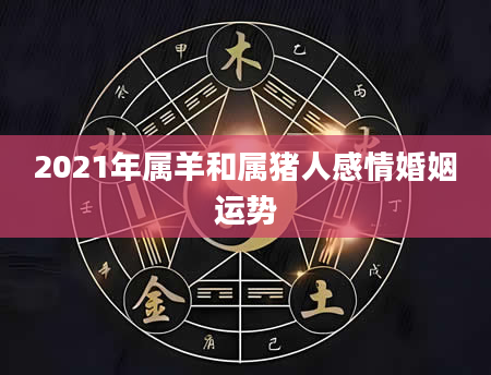 2021年属羊和属猪人感情婚姻运势